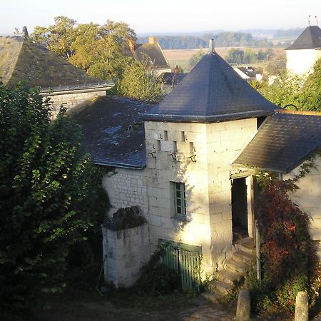 Manoir De Boisairault Bed and Breakfast Le Coudray-Macouard Eksteriør billede