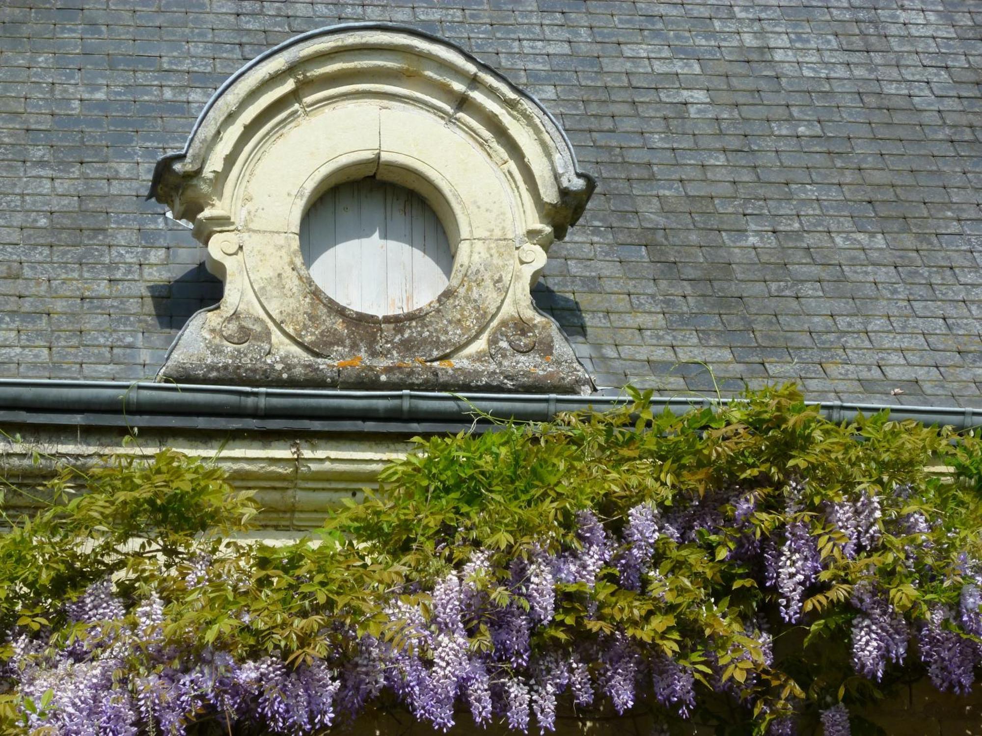 Manoir De Boisairault Bed and Breakfast Le Coudray-Macouard Eksteriør billede