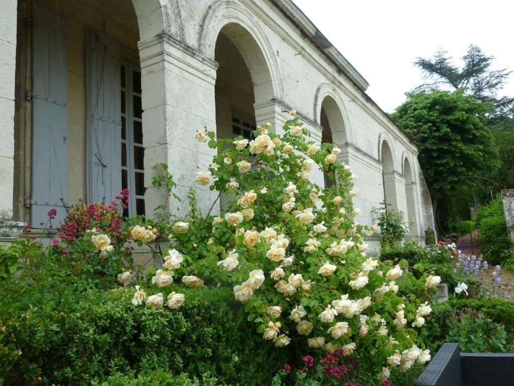 Manoir De Boisairault Bed and Breakfast Le Coudray-Macouard Eksteriør billede